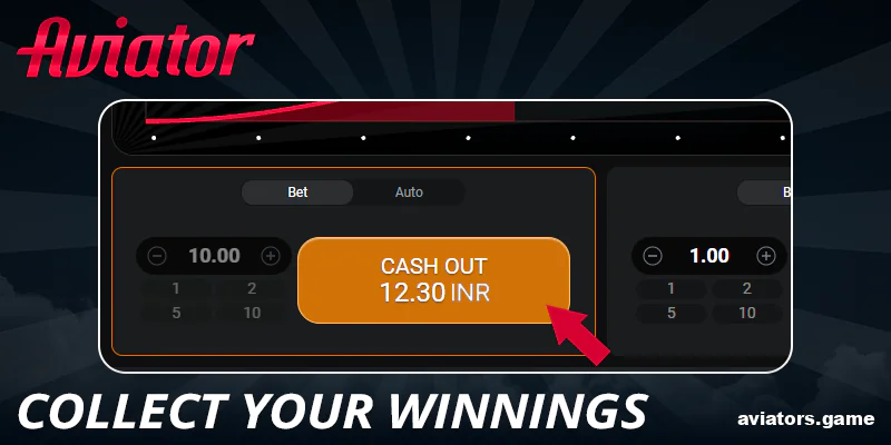 Collect your winnings in Aviator game